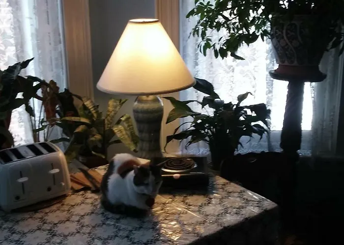 Burbridge Street B&B